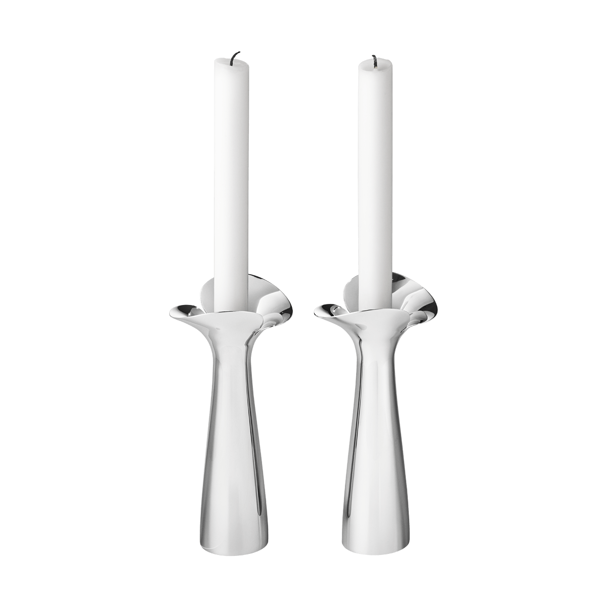 Bloom Botanica Pair of Candleholder