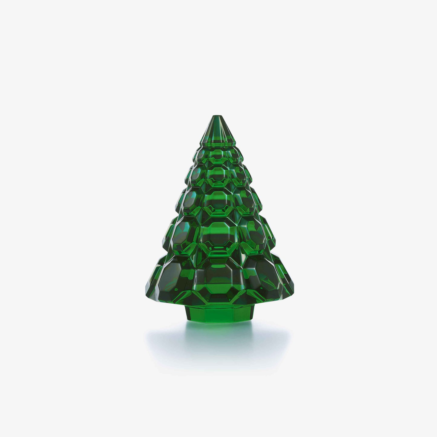 Noel Octogone Fir 2026