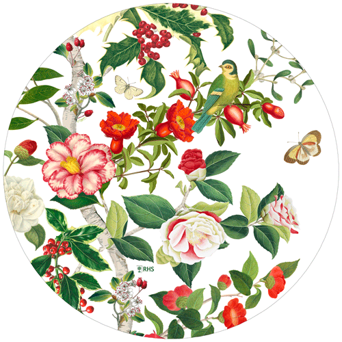 Christmas Chinoiserie Die-Cut Placemats