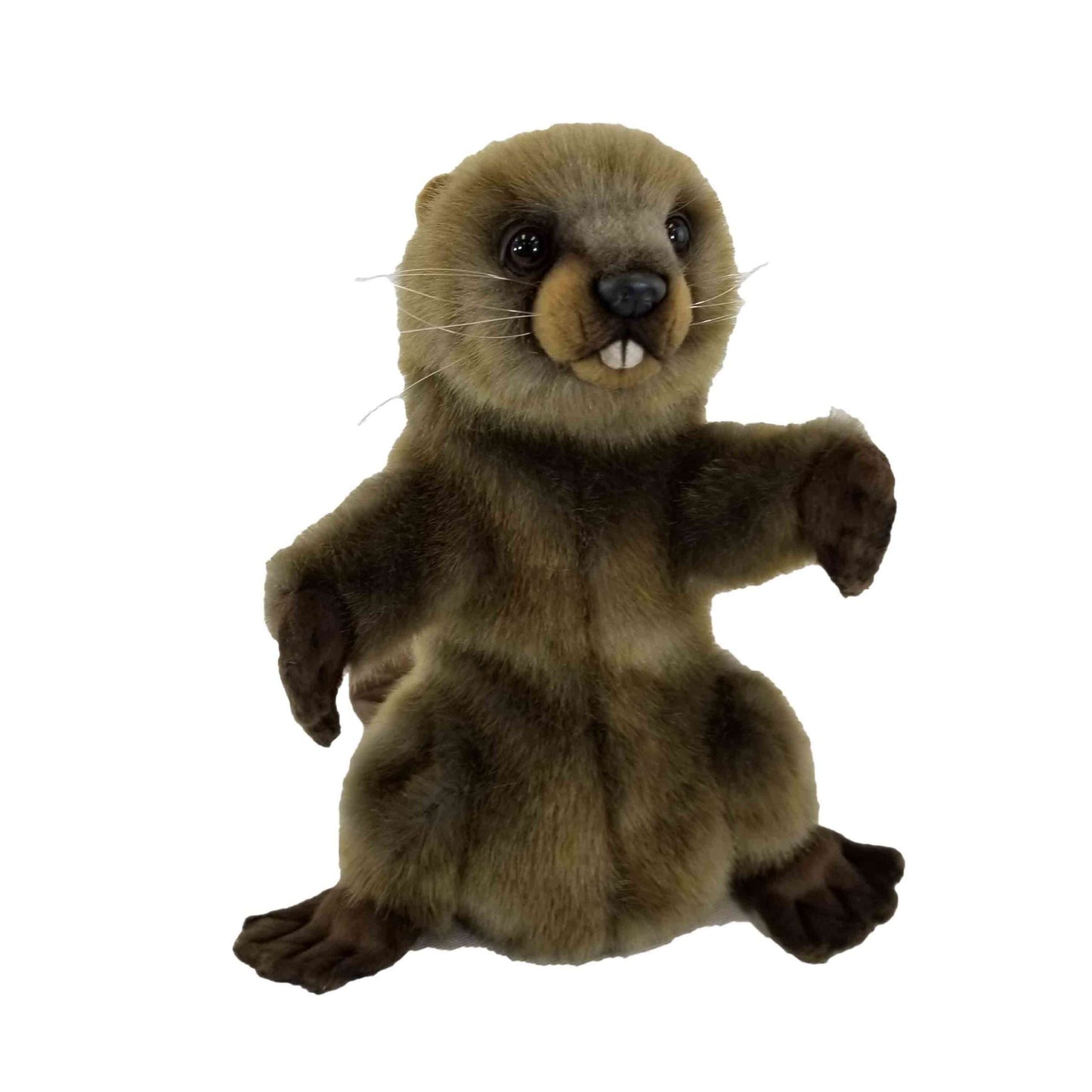 Beaver Puppet