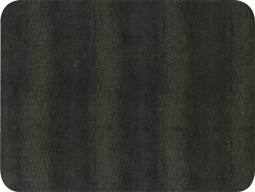 Lizard Felt-Backed Placemat Black