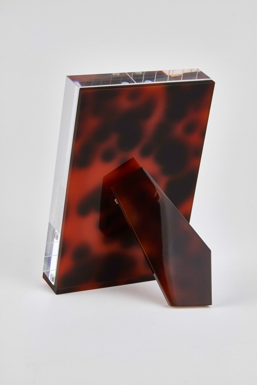 Acrylic Tortoise Frame