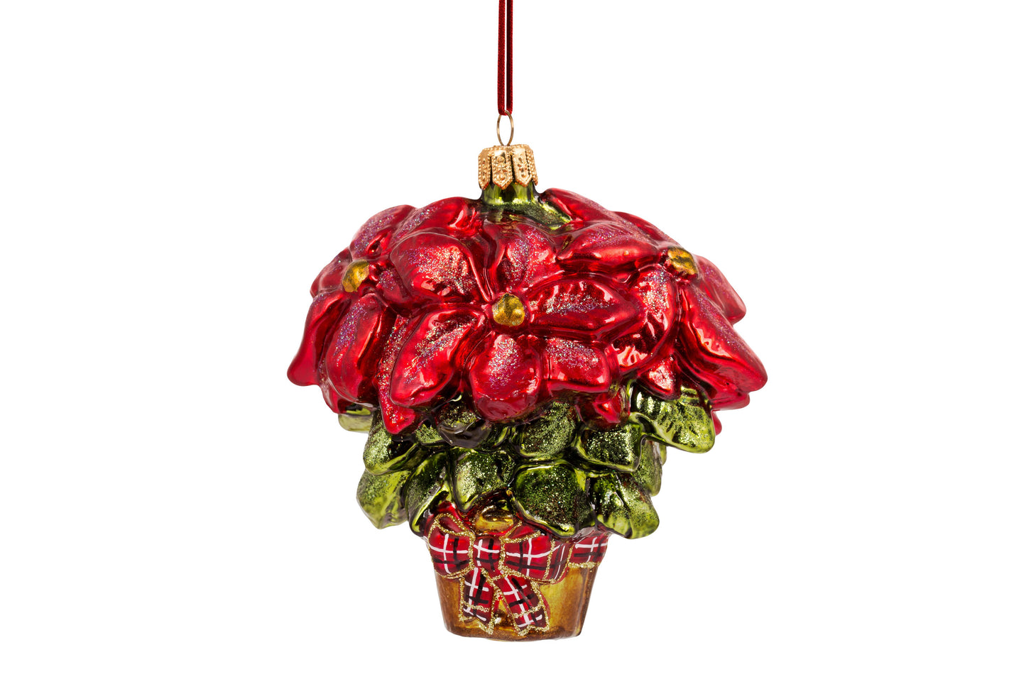 Pretty Potted Poinsettia