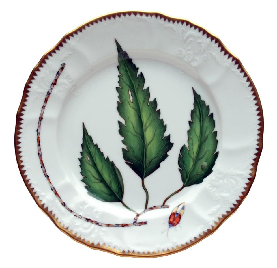 Green Leaf Salad Plate
