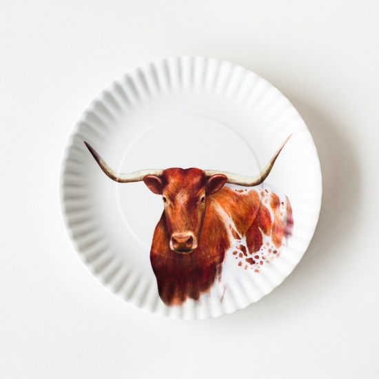Longhorn Melamine Plate Set of 4