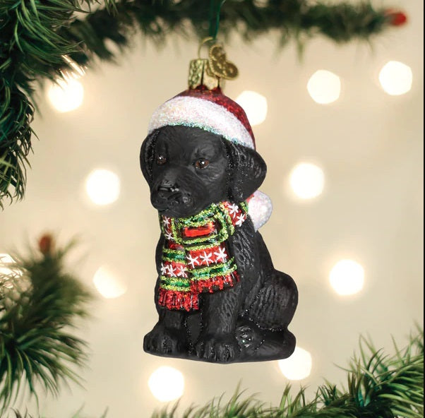 Holiday Black Labrador Puppy