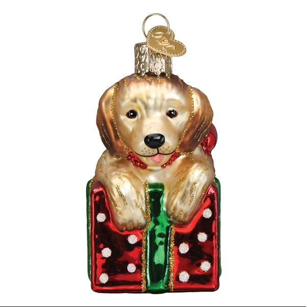 Golden Puppy Surprise