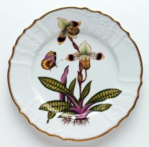 Orchids Dinner Plate #5