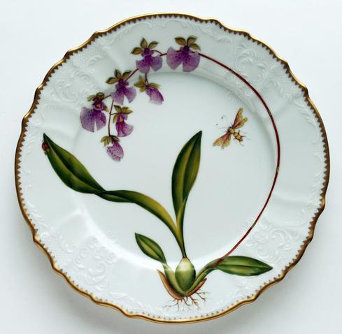 Orchids Dinner Plate #6