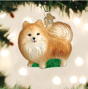 Standing Pomeranian