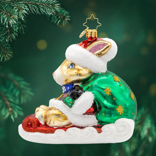 Healing Holiday Hare