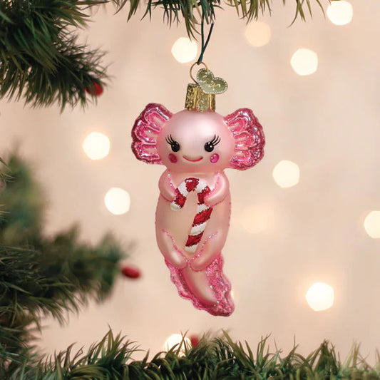 Axolotl With Candy Cane