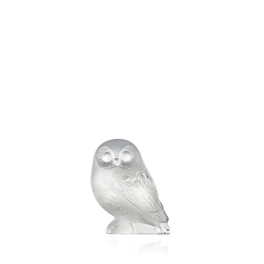 Shivers Owl