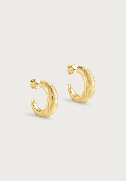 Safari Hoops