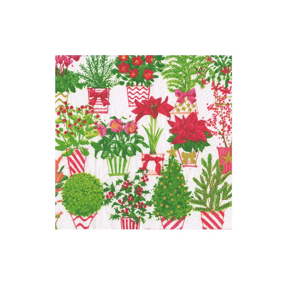 Christmas Flower Market Napkins