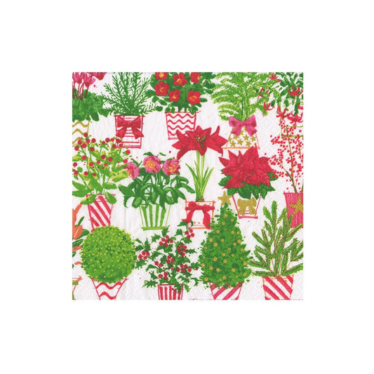 Christmas Flower Market Napkins