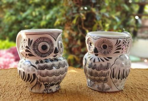 Mr. & Mrs. Owl Mug Set