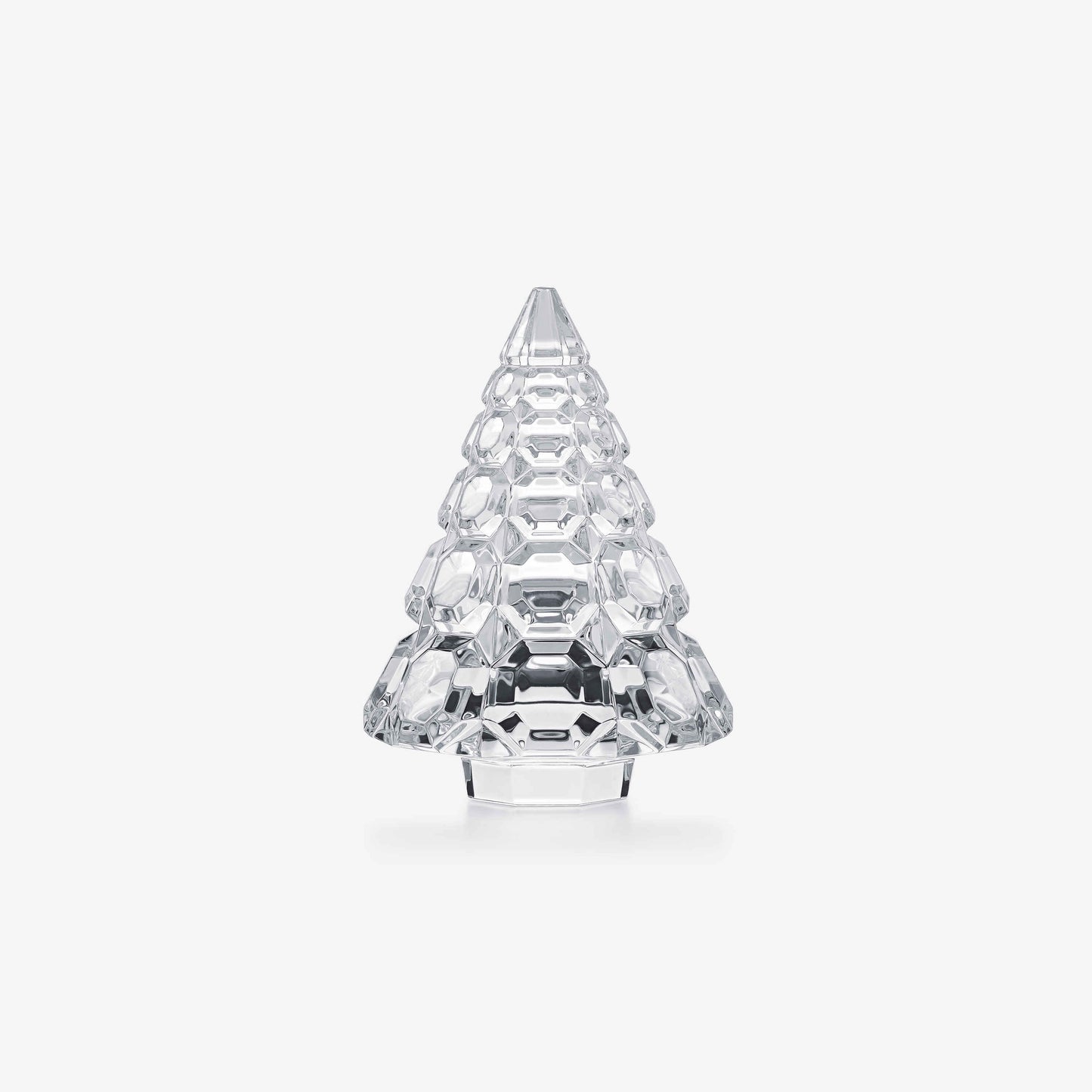 Noel Octogone Fir 2026