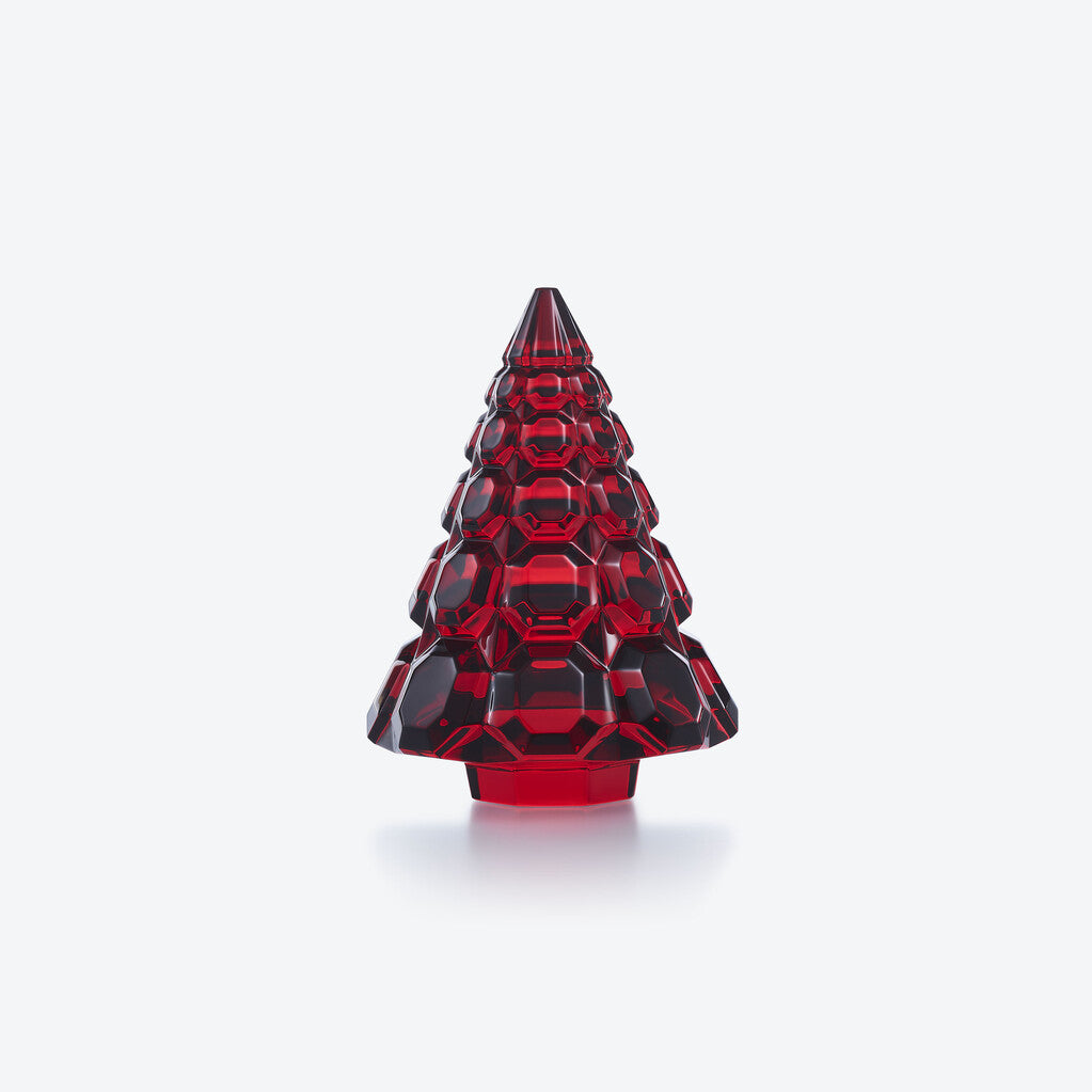 Noel Octogone Fir 2026