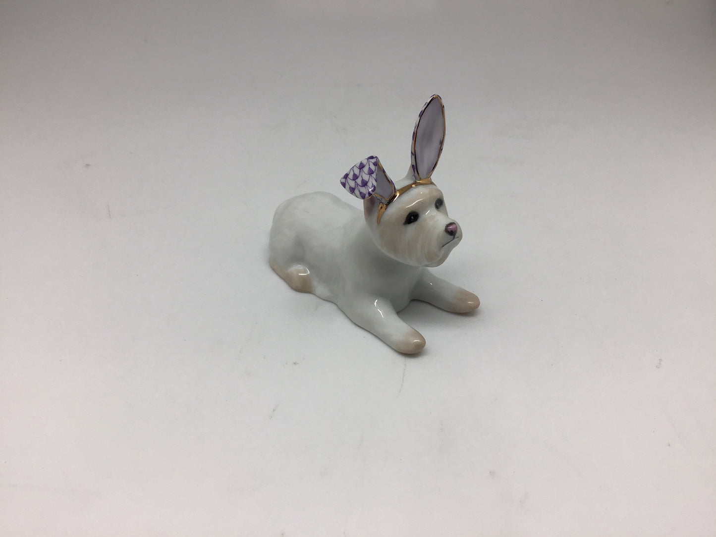 Westie with Bunny Ears