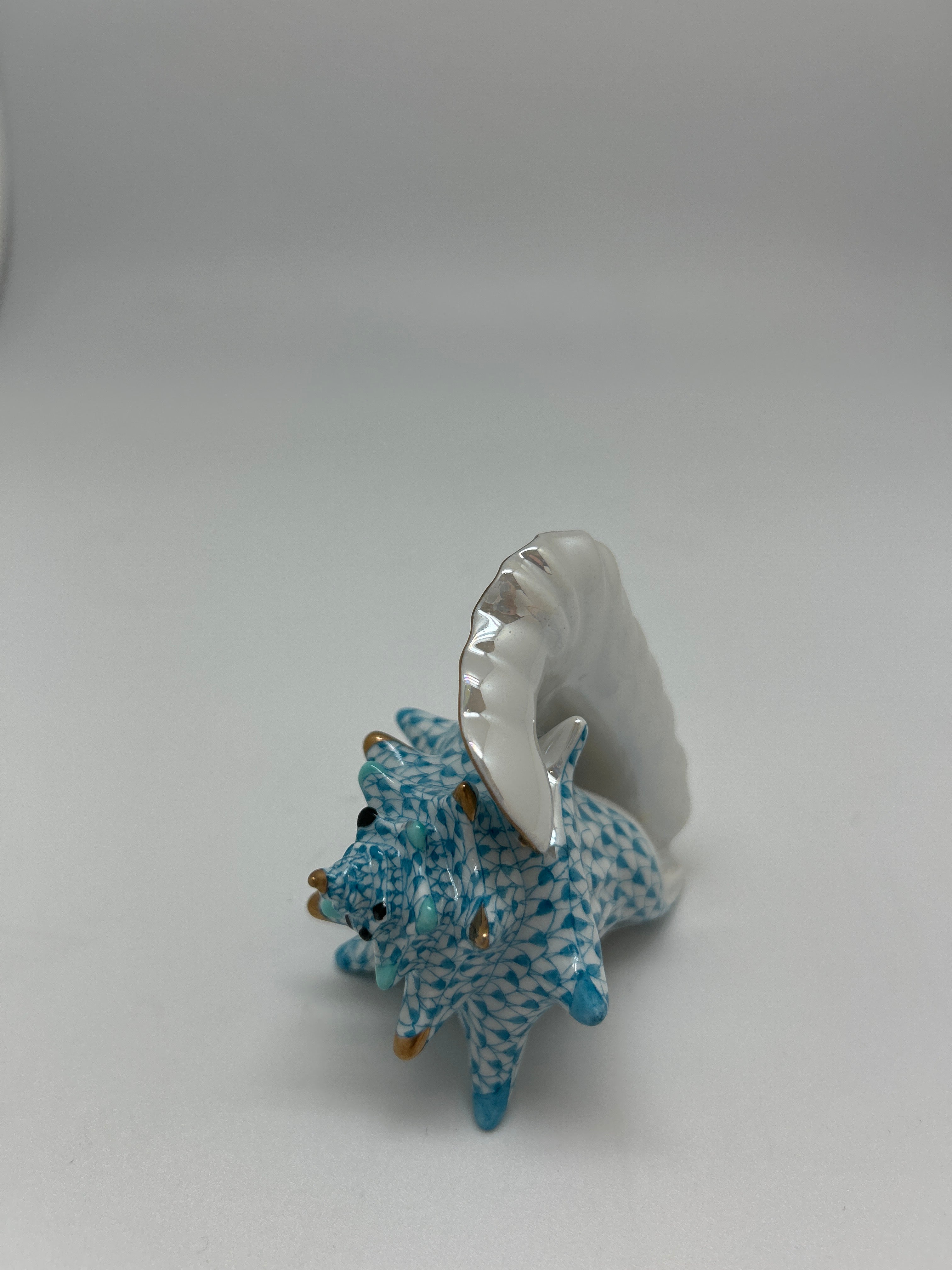 Medium Conch Shell – Hanley-Wood Fine Gifts