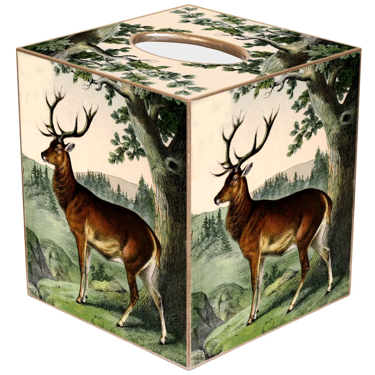 Marye-Kelley Bathroom Accessories