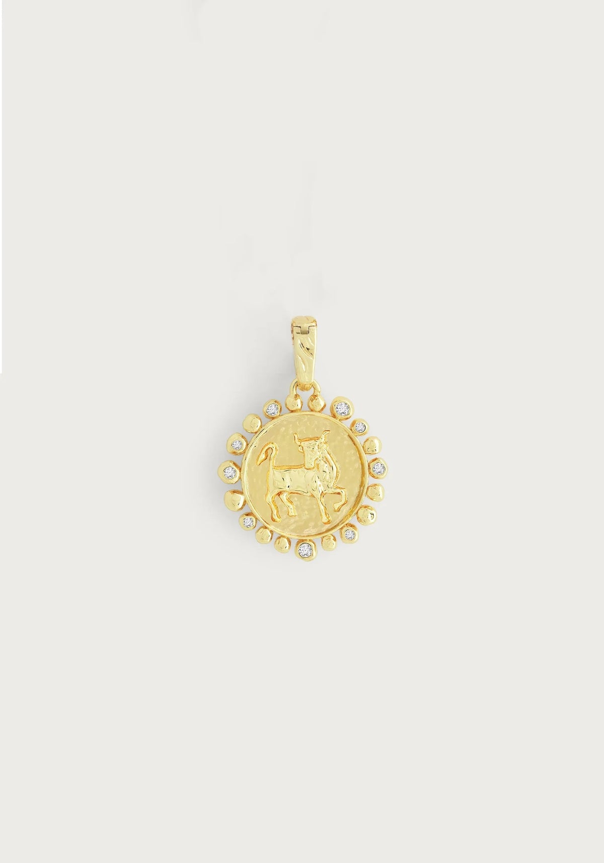 Zodiac Charm