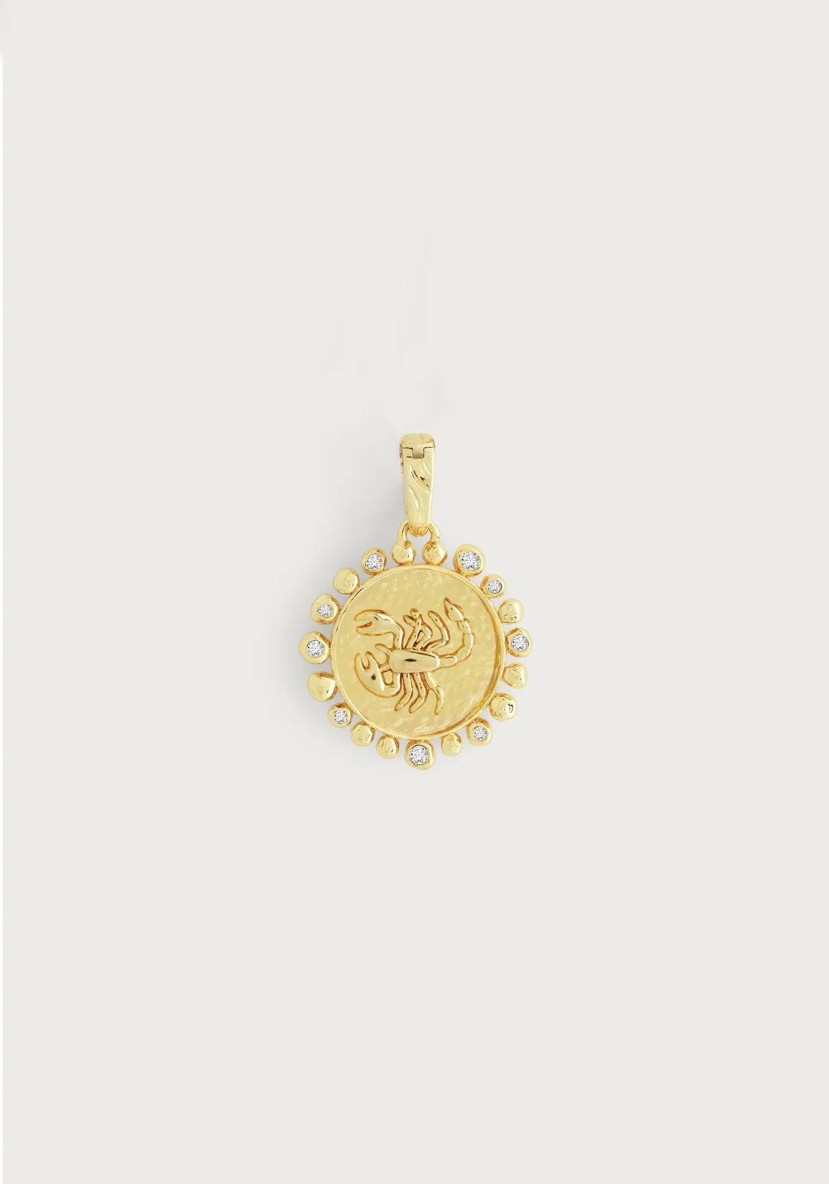 Zodiac Charm