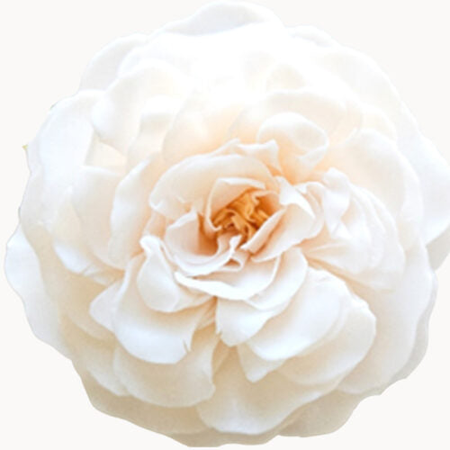 A'Maries Flower Soap