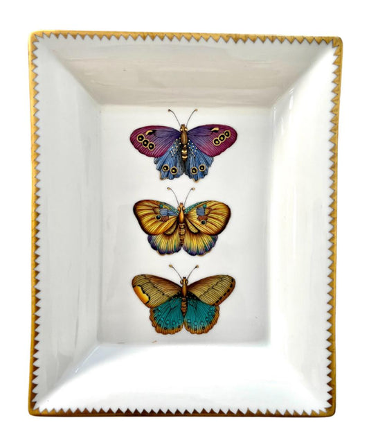 Exotic Butterflies Vide Poche
