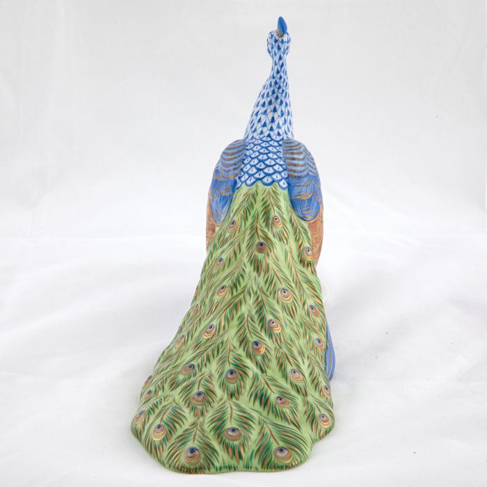 Proud Peacock