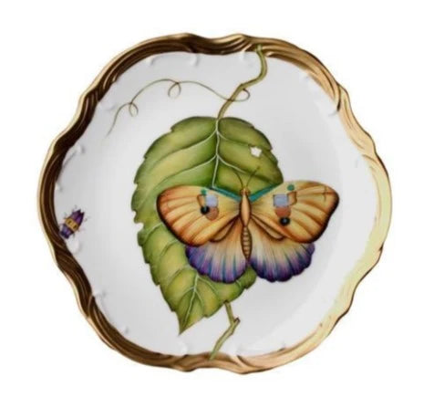 Exotic Butterflies