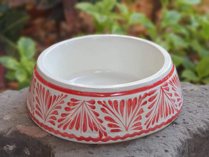 Dog Bowl