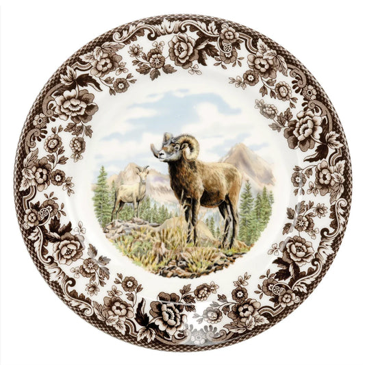 Woodland Big Horn Sheep
