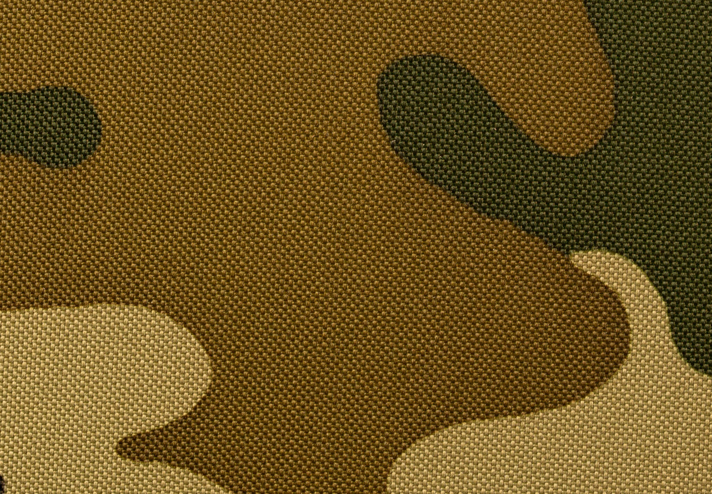 Amelia