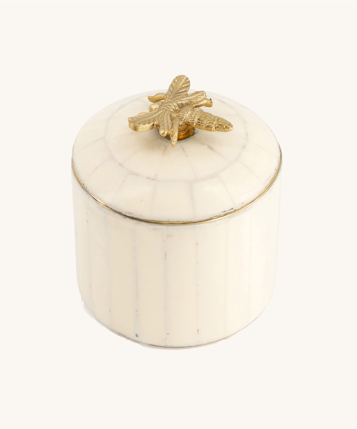 Circus Box