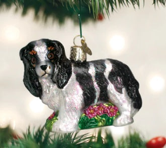 Black/White King Charles Spaniel