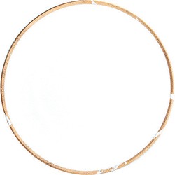 Gold Leaf Coupe Dinner Plate