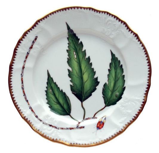 Green Leaf Salad Plate