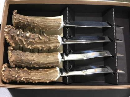 Jean Dubost 6 Stainless Steel Steak Knives in A Wooden Block